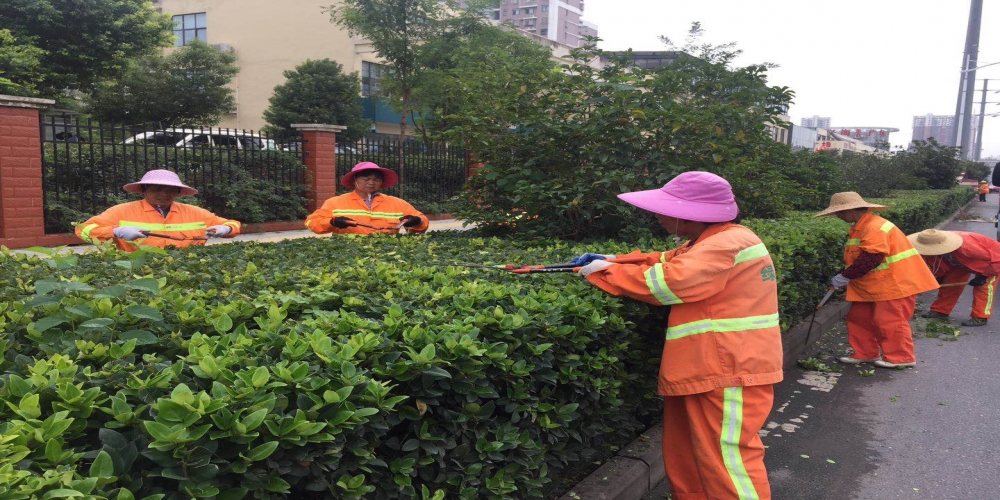 新站區(qū)道路清掃保潔、綠化管養(yǎng)項(xiàng)目